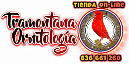 LOGO CABECERA WEB IA