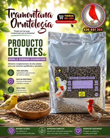 NEGRILLO GERMINADO DESHIDRATADO DIVAL HOYO